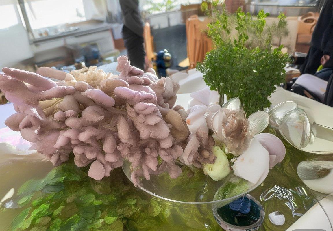 哥本哈根VS阿积士：历史、战术、球员与文化的全面对决分析(图2)