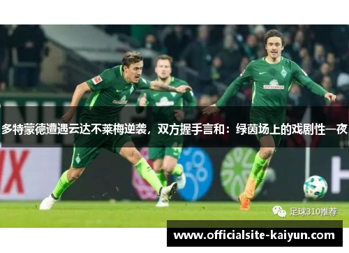 多特蒙德遭遇云达不莱梅逆袭，双方握手言和：绿茵场上的戏剧性一夜
